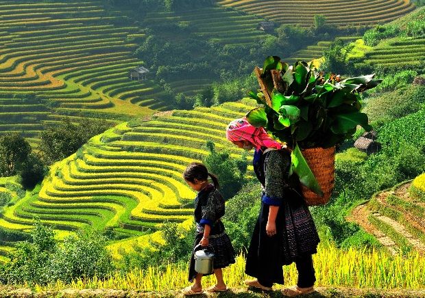 Northern Vietnam Discovery